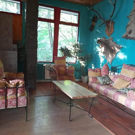 Hotel Barlogul Ursilor Lepşa Zewnętrze zdjęcie