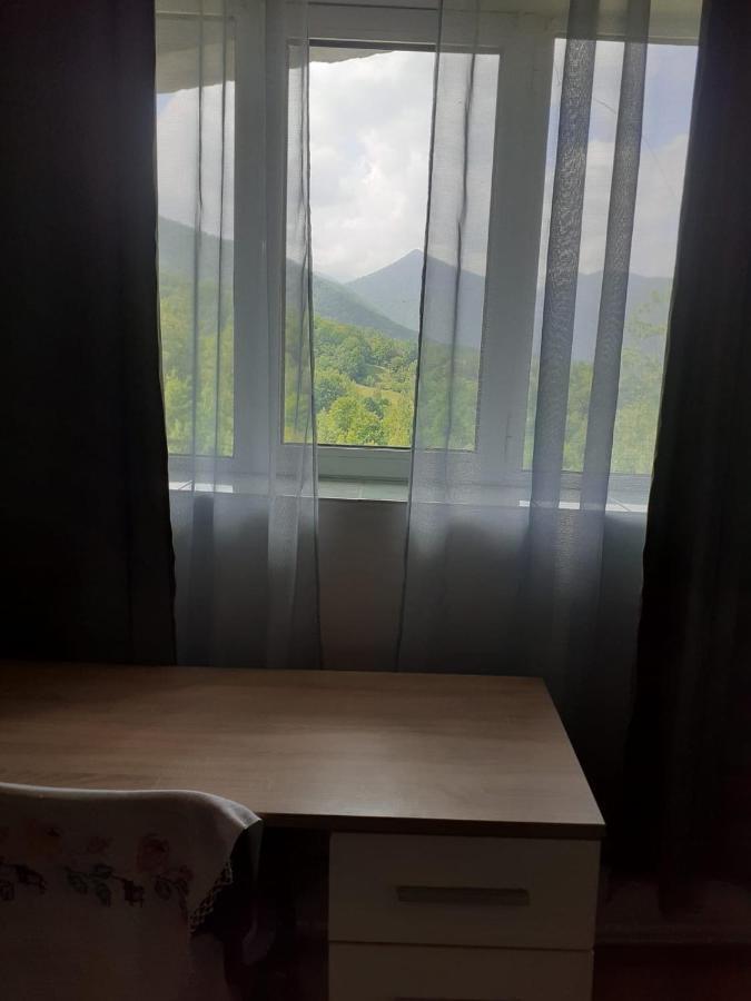Hotel Barlogul Ursilor Lepşa Zewnętrze zdjęcie