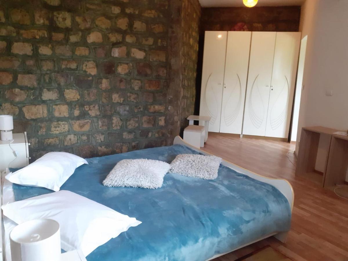 Hotel Barlogul Ursilor Lepşa Zewnętrze zdjęcie