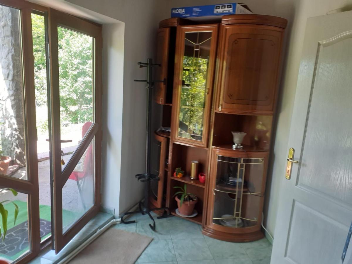 Hotel Barlogul Ursilor Lepşa Zewnętrze zdjęcie