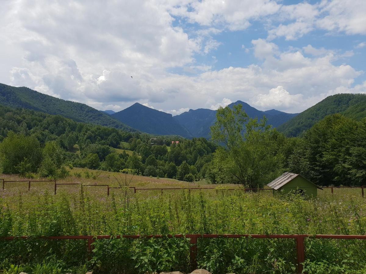 Hotel Barlogul Ursilor Lepşa Zewnętrze zdjęcie