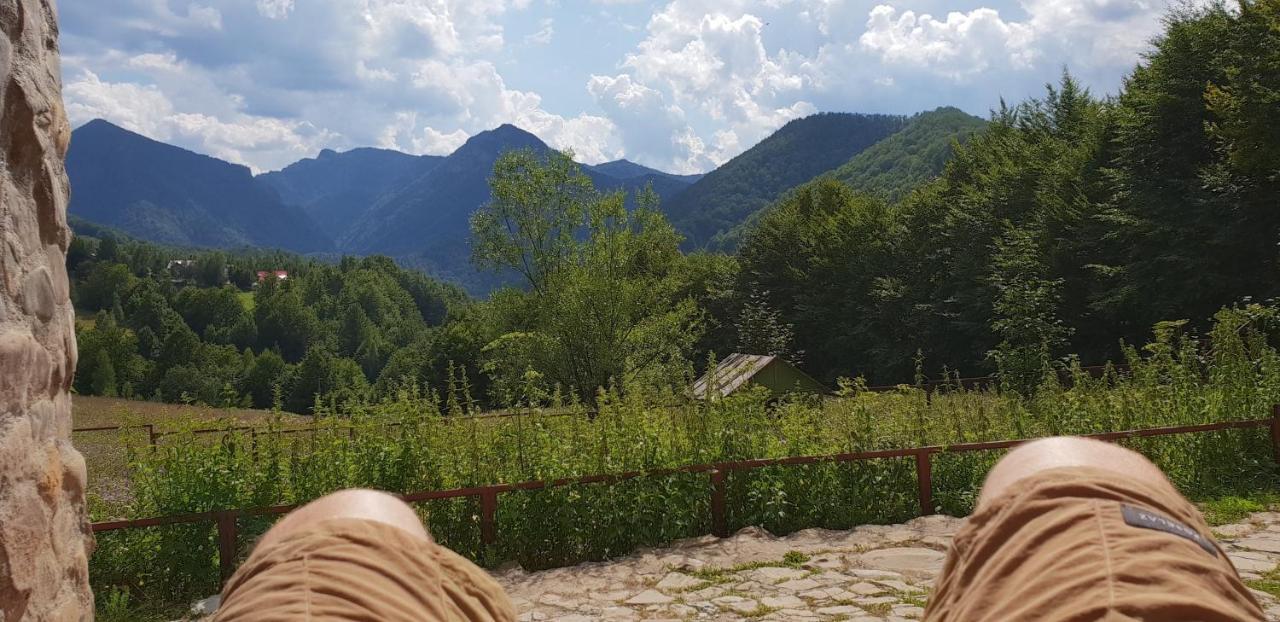 Hotel Barlogul Ursilor Lepşa Zewnętrze zdjęcie