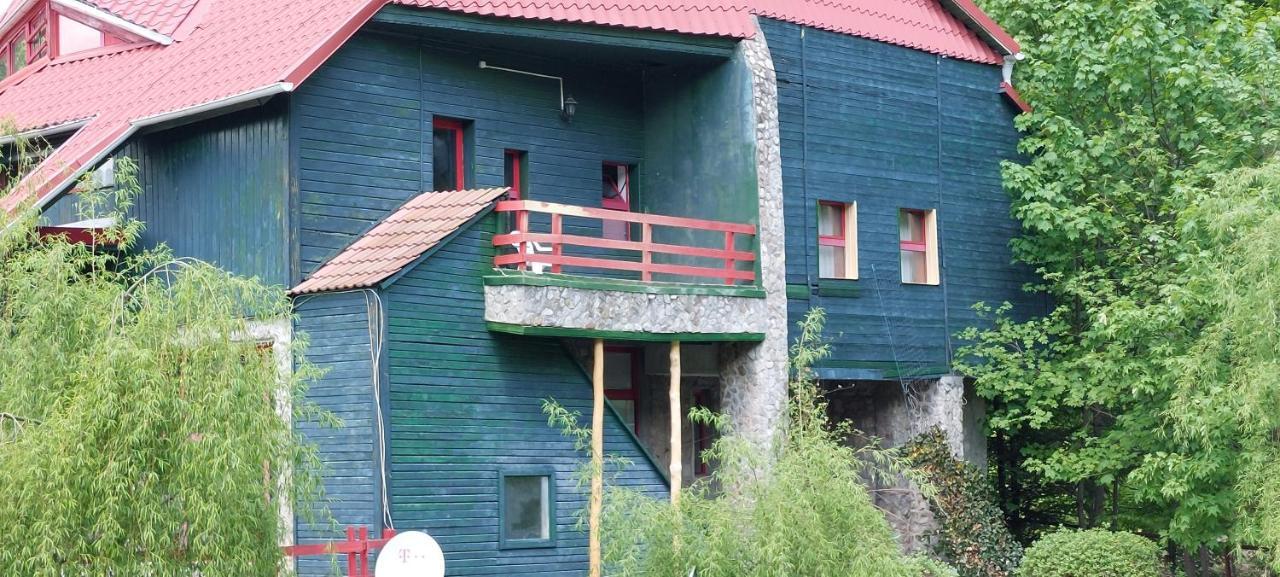 Hotel Barlogul Ursilor Lepşa Zewnętrze zdjęcie