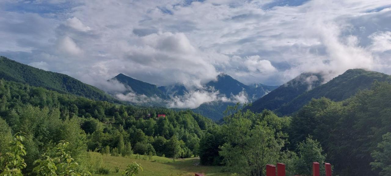 Hotel Barlogul Ursilor Lepşa Zewnętrze zdjęcie