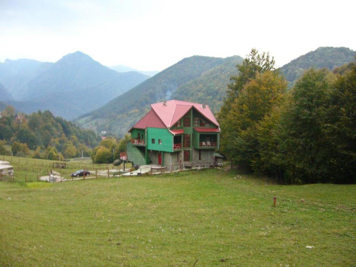 Hotel Barlogul Ursilor Lepşa Zewnętrze zdjęcie