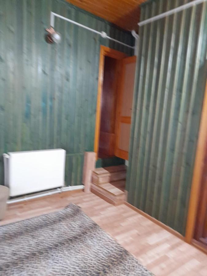 Hotel Barlogul Ursilor Lepşa Zewnętrze zdjęcie
