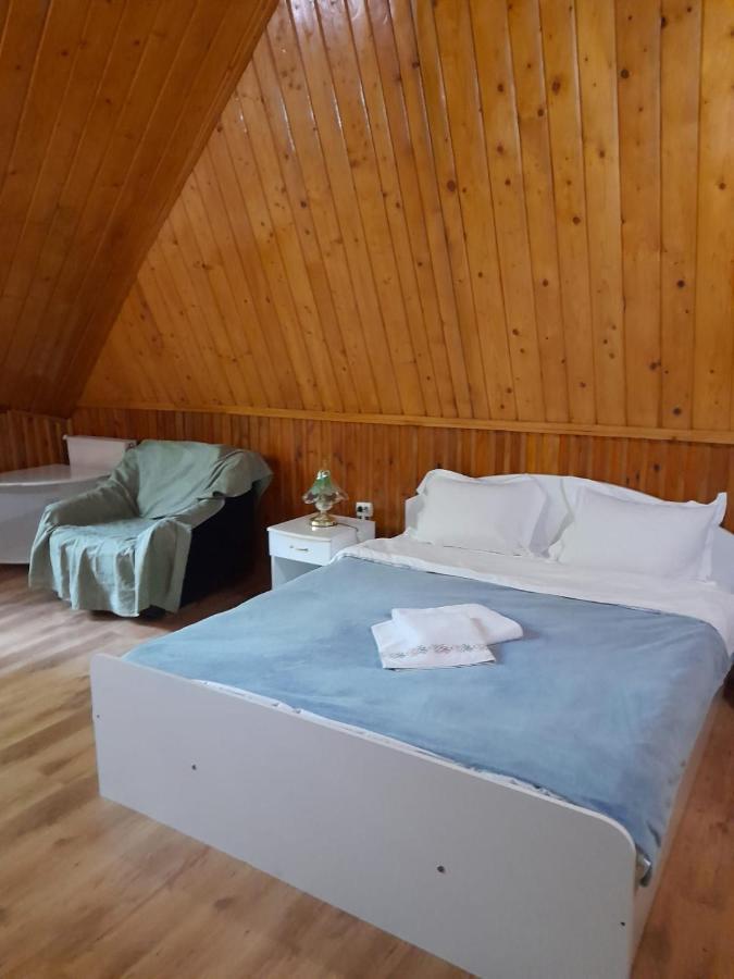 Hotel Barlogul Ursilor Lepşa Zewnętrze zdjęcie