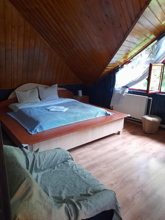 Hotel Barlogul Ursilor Lepşa Zewnętrze zdjęcie