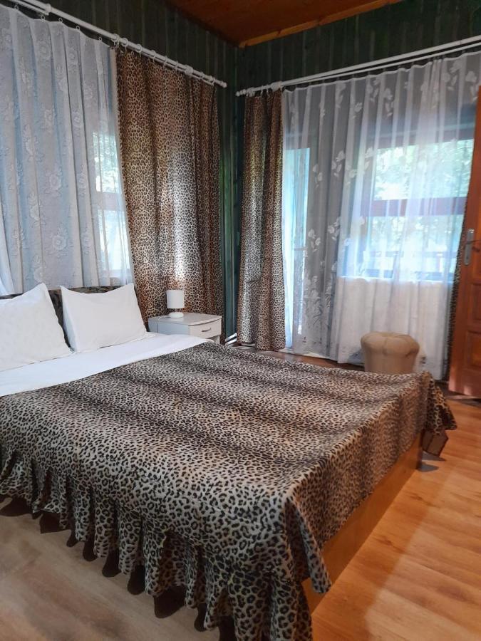 Hotel Barlogul Ursilor Lepşa Zewnętrze zdjęcie