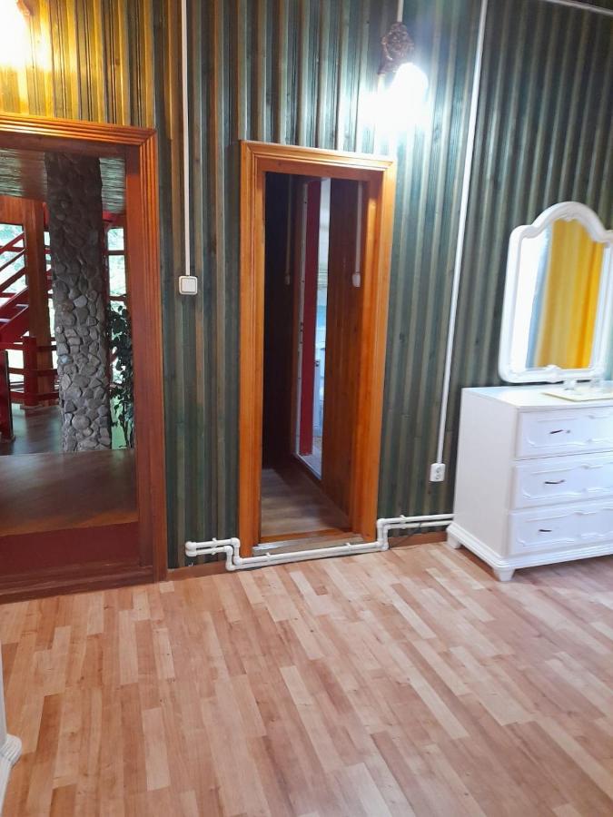 Hotel Barlogul Ursilor Lepşa Zewnętrze zdjęcie