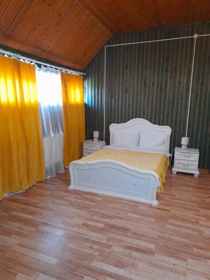 Hotel Barlogul Ursilor Lepşa Zewnętrze zdjęcie