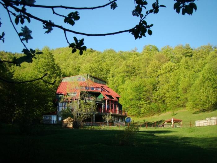 Hotel Barlogul Ursilor Lepşa Zewnętrze zdjęcie