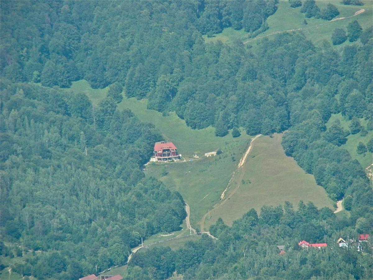 Hotel Barlogul Ursilor Lepşa Zewnętrze zdjęcie