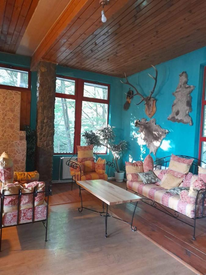 Hotel Barlogul Ursilor Lepşa Zewnętrze zdjęcie