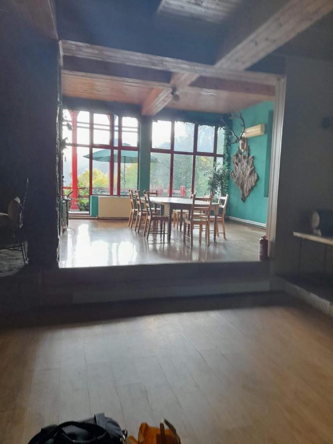 Hotel Barlogul Ursilor Lepşa Zewnętrze zdjęcie