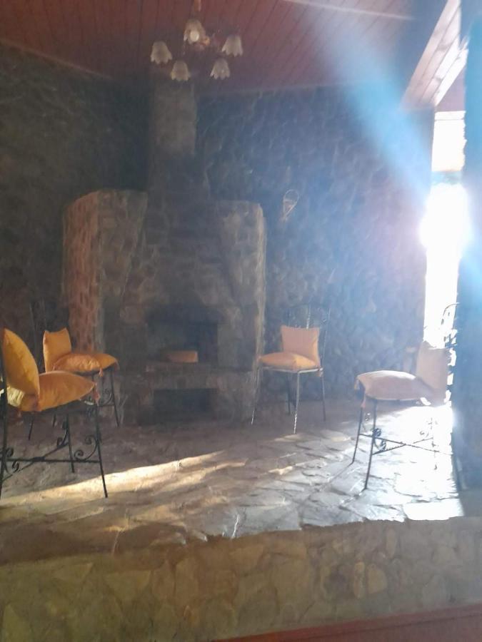 Hotel Barlogul Ursilor Lepşa Zewnętrze zdjęcie