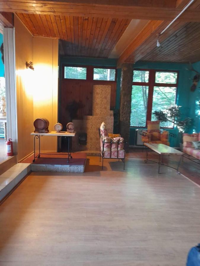 Hotel Barlogul Ursilor Lepşa Zewnętrze zdjęcie