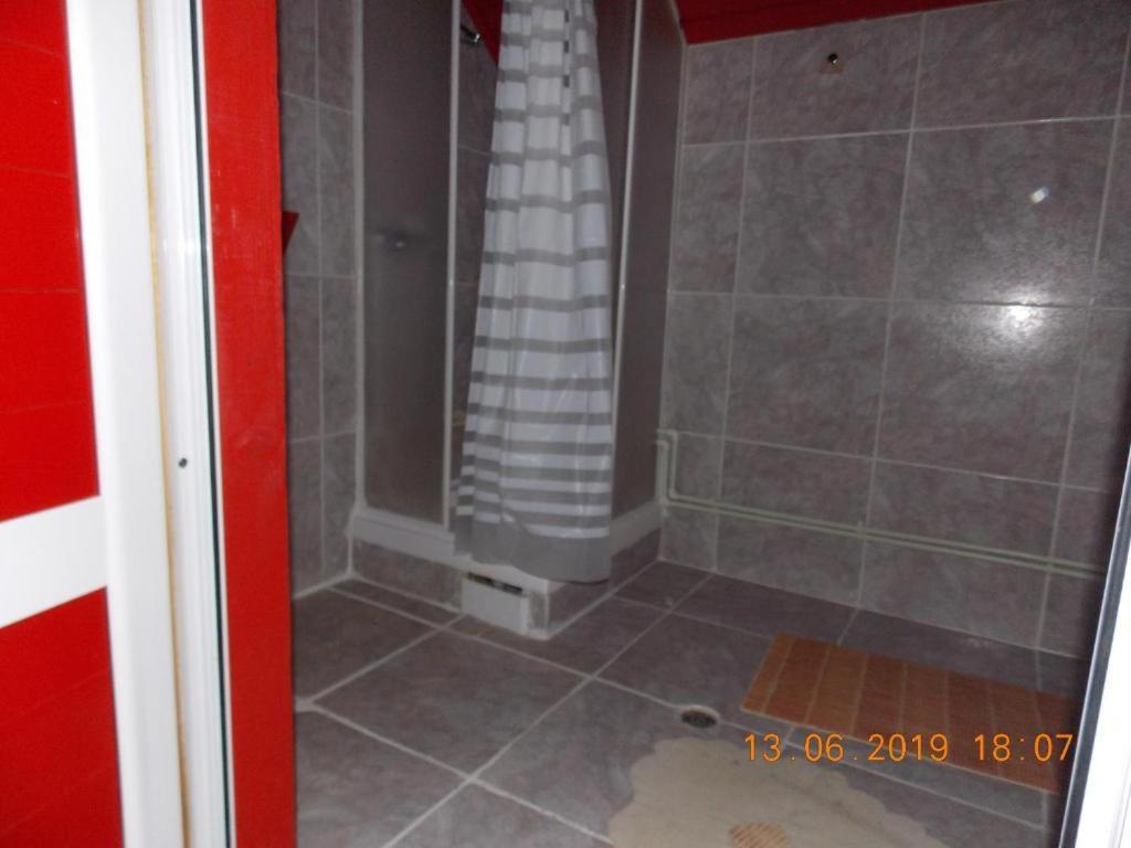 Hotel Barlogul Ursilor Lepşa Zewnętrze zdjęcie