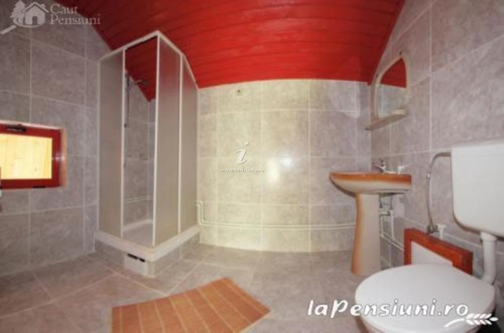 Hotel Barlogul Ursilor Lepşa Zewnętrze zdjęcie
