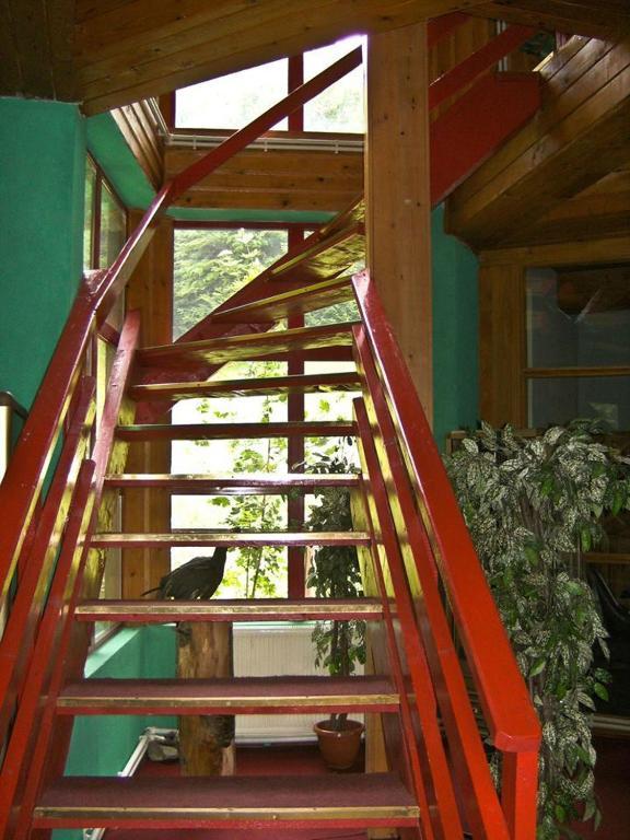 Hotel Barlogul Ursilor Lepşa Zewnętrze zdjęcie