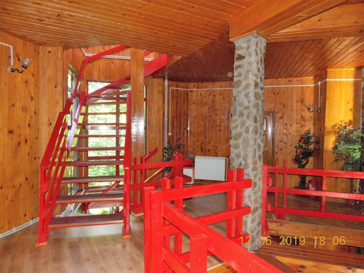 Hotel Barlogul Ursilor Lepşa Zewnętrze zdjęcie