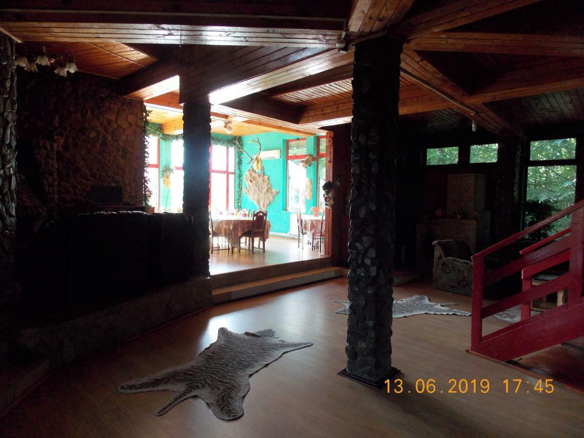 Hotel Barlogul Ursilor Lepşa Zewnętrze zdjęcie